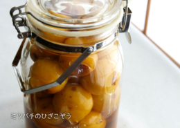 梅のハチミツ漬け