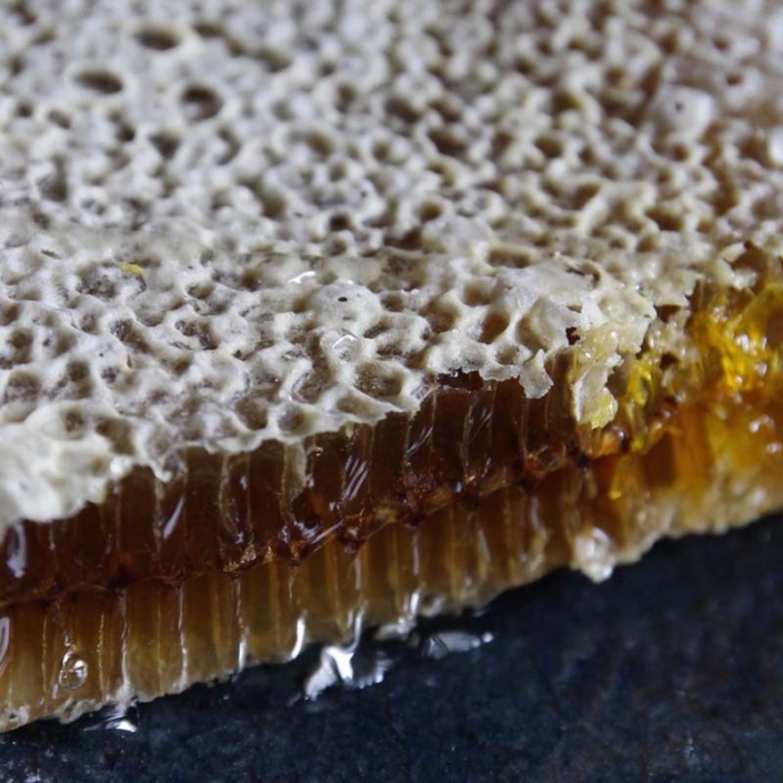巣板を割ってみると、巣房にはたっぷりのハチミツが・・・