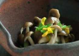 鶏のささ身に、椎茸、エリンギ、しめじ、そして、三つ葉に菊花のお浸し