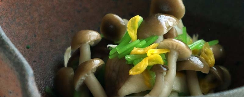 鶏のささ身に、椎茸、エリンギ、しめじ、そして、三つ葉に菊花のお浸し